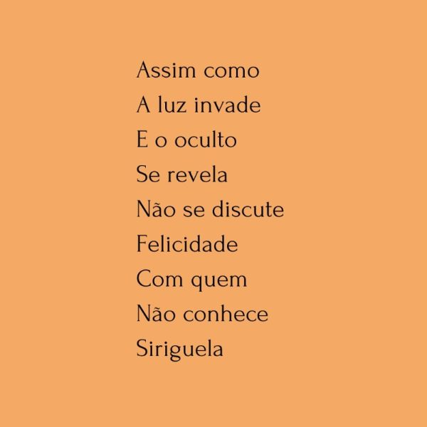 WhatsApp Image 2025-05-27 at 20.58.48